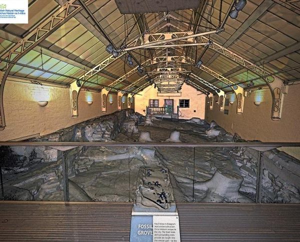 Arboleda Fósil de Glasgow