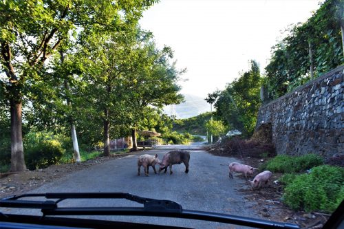 Unexpected road attractions in Albania