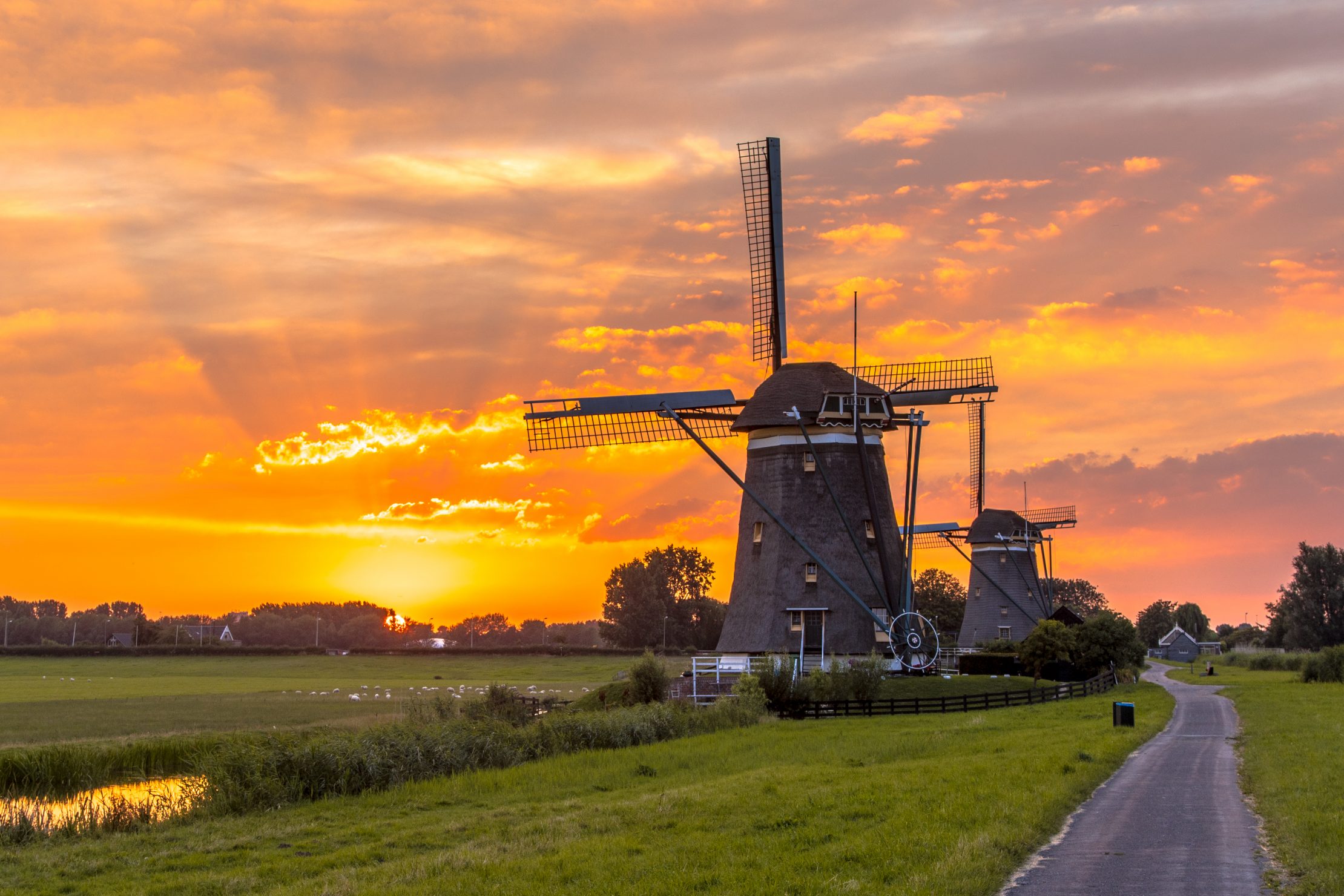Windmills - typical Dutch countryside