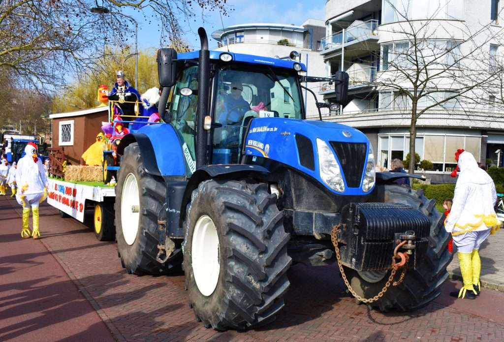 Delft Carnival (3)