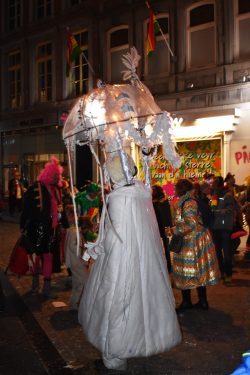 Fantastic costumes of the Maastricht Carnival (15)