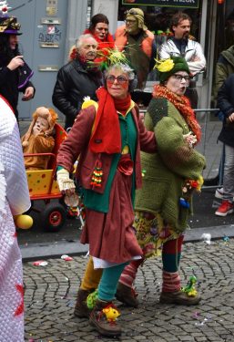 Fantastic costumes of the Maastricht Carnival (2)