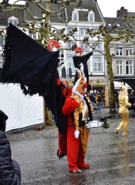 Fantastic costumes of the Maastricht Carnival (31)