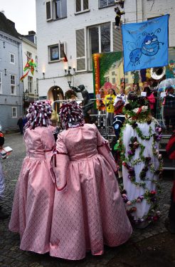 Fantastic costumes of the Maastricht Carnival (34)