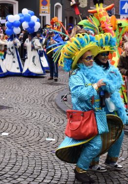 Fantastic costumes of the Maastricht Carnival (36)