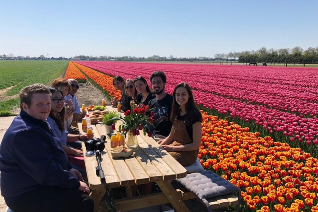 How about a Dutch lunch in the middle of a fragrant tulip field? -Photo by Tulip Tours Holland