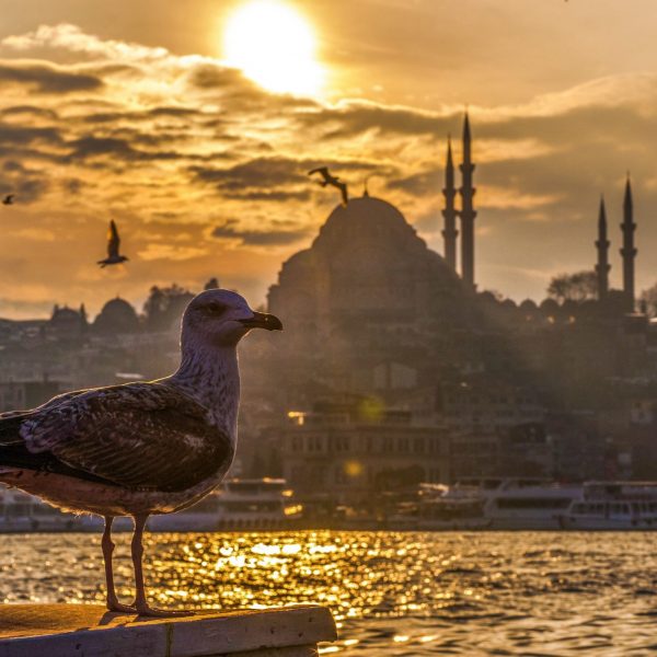 12 Reasons to Visit Istanbul