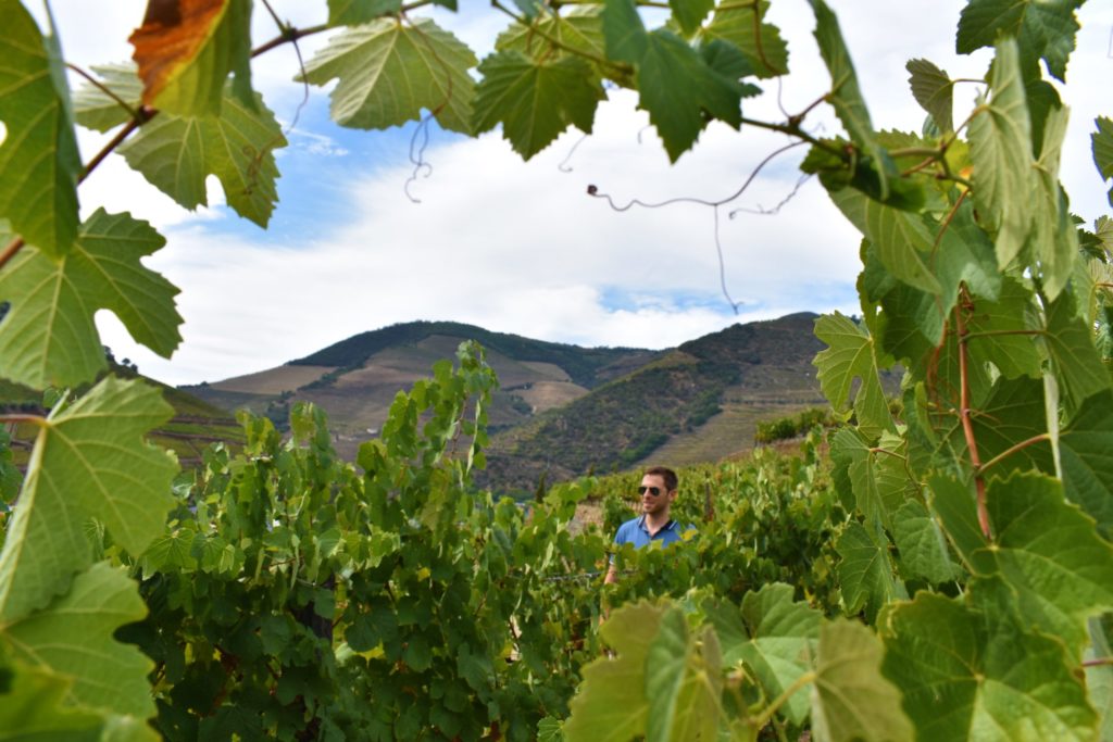 A stroll through the Douro Valley vineyards is a real pleasure
