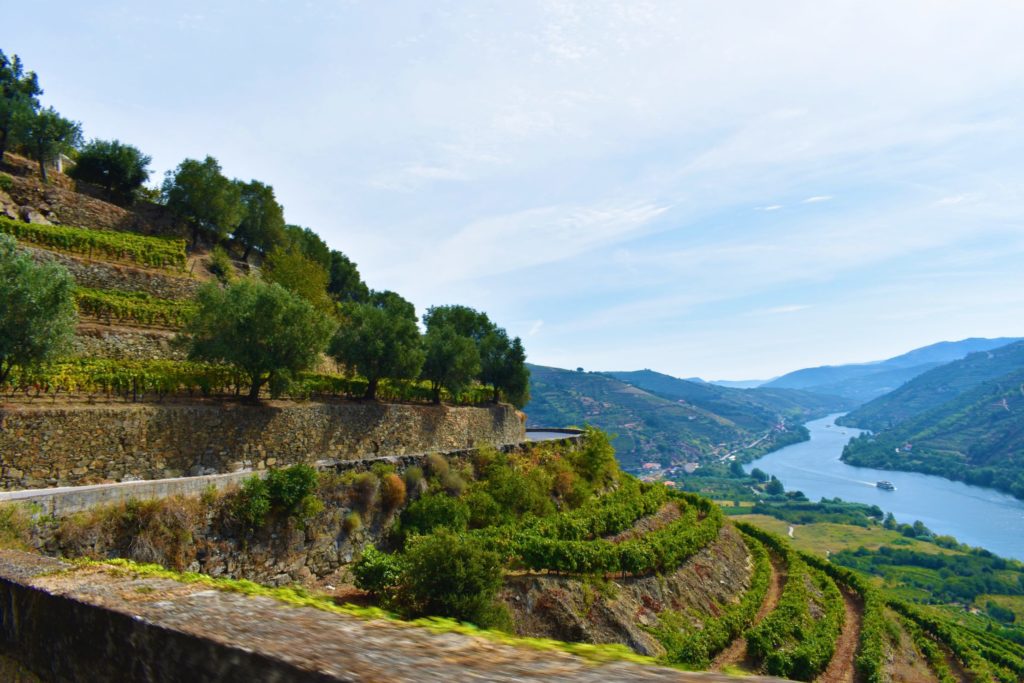 Panoramic road along the Douro Valley terraced vineyards