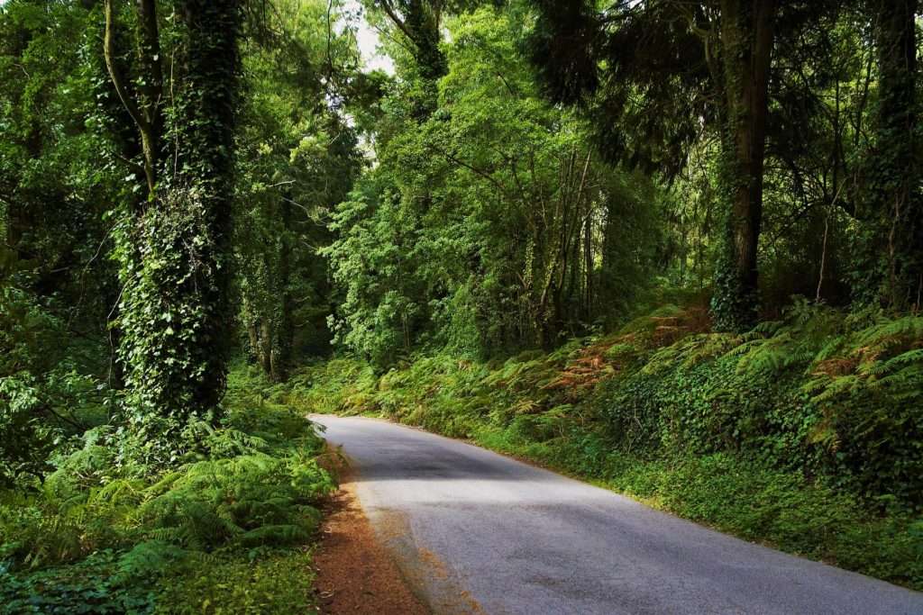The roads taking you uphill to Sintra already make you feel like entering the fairytale land
