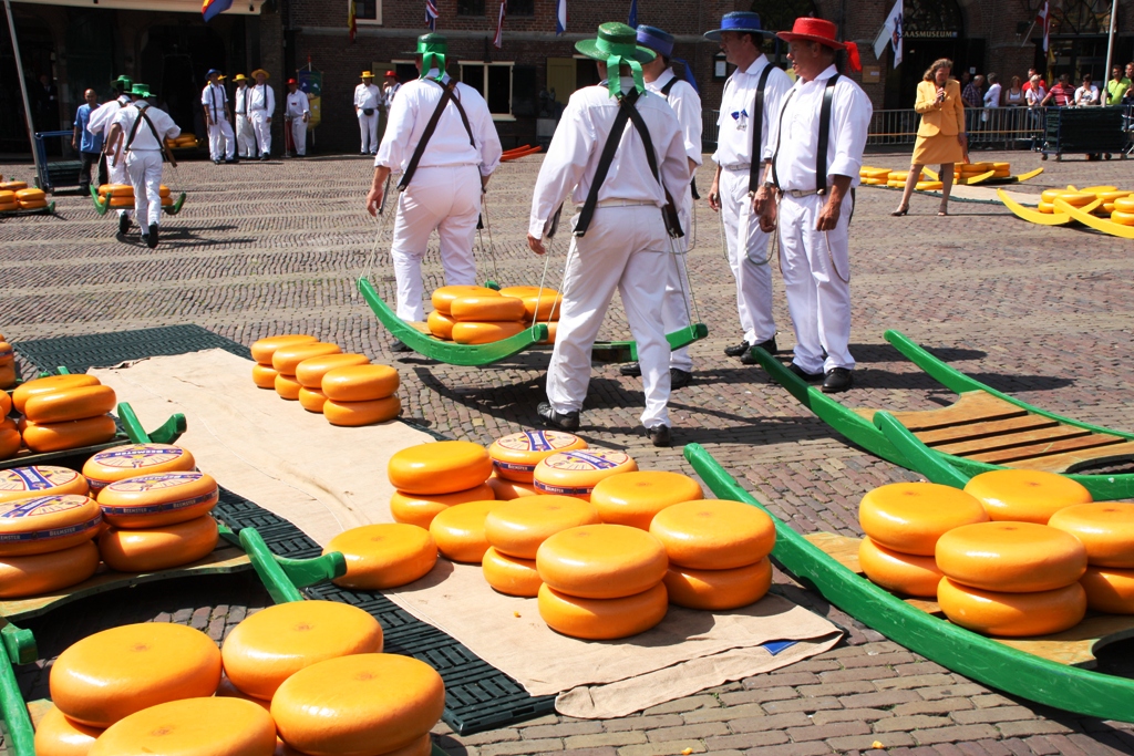 Traditional cheese market in Alkmaar, the Netherlands