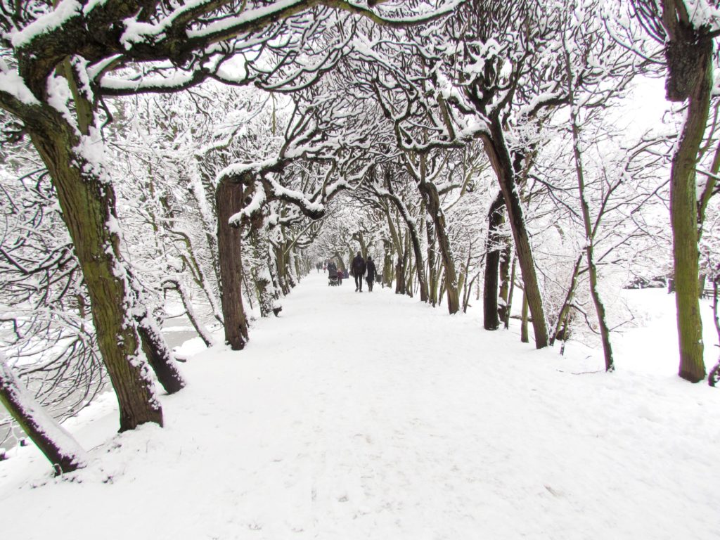 Fairytale-like winter in Kraków, Poland