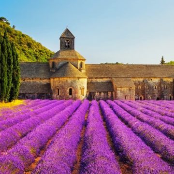 The best guide to France